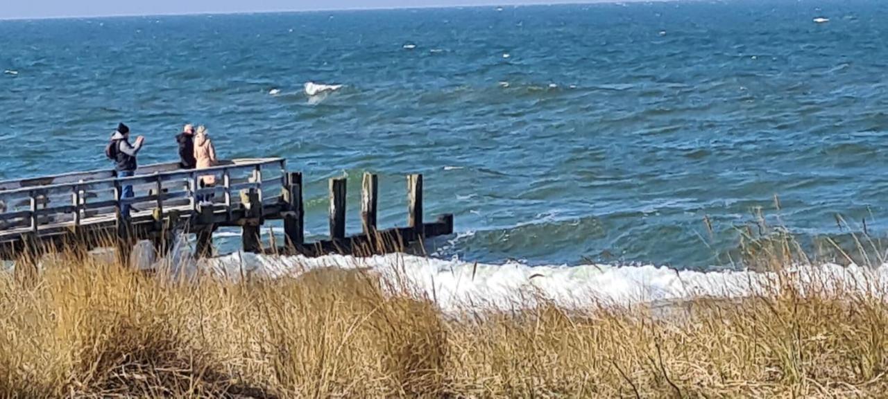 Ferienwohnung Seeblick Ostseeheilbad Ostseeheilbad Zingst Exterior foto